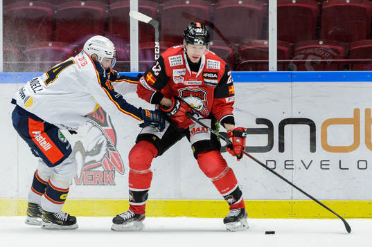 Djurgårdens Tom Wandell och Malmö Redhawks Lars Bryggman