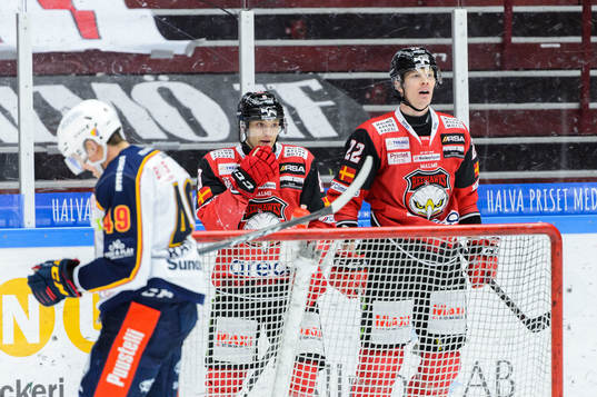 Malmö Redhawks Lars Bryggman jublar med Johan Olofsson