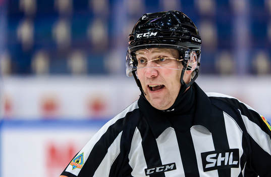 Domare Morgan Johansson