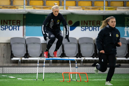 Ellen Larsson