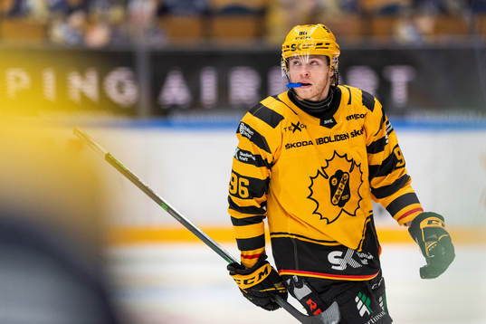 Skellefteås Rickard Hugg