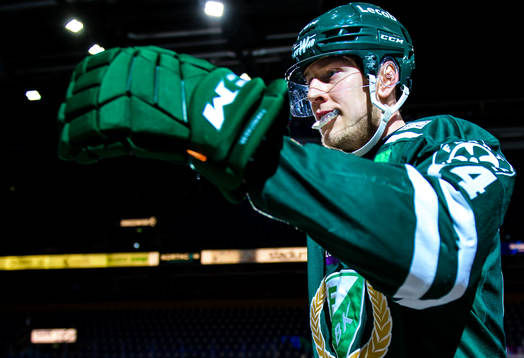 Bläddra bland fler bilder av Ishockey, SHL, Färjestad - Leksand