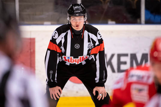 Domare Daniel Eriksson