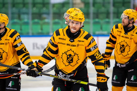 Skellefteås Roland McKeown deppar