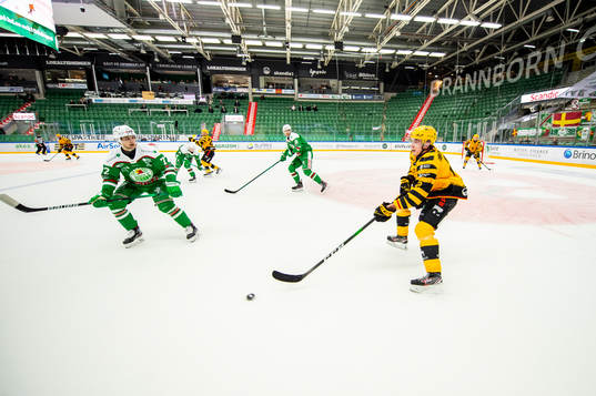 Rögles Daniel Zaar och Skellefteås Adam Wilsby