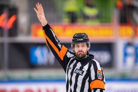 Domare Mikael Sjöqvist