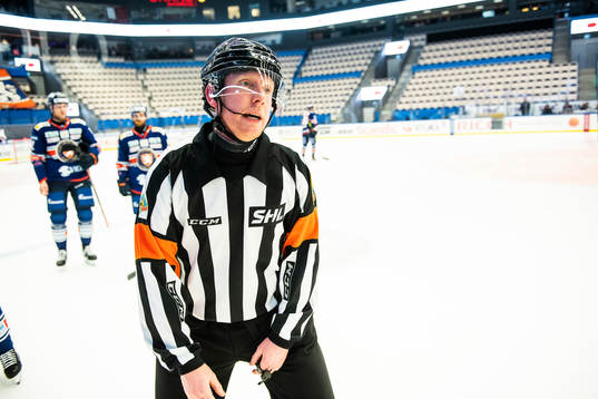 Domare Mikael Holm