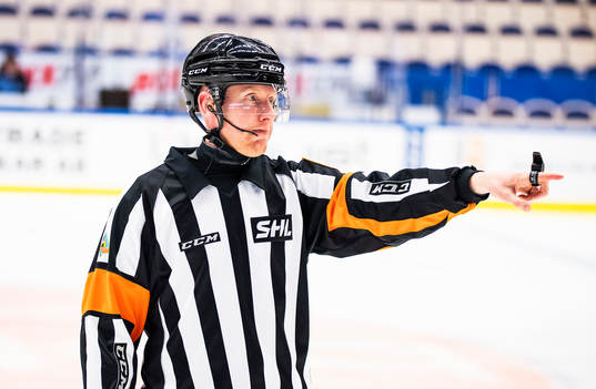 Domare Mikael Holm