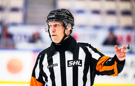 Domare Morgan Johansson