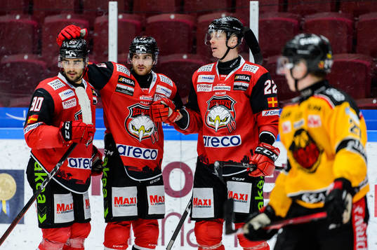 Malmö Redhawks spelare jublar
