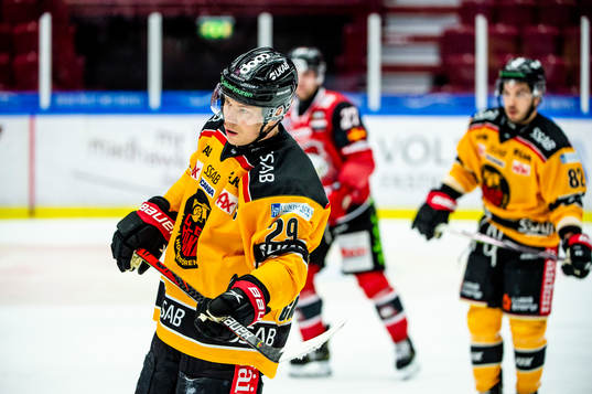 Luleås Erik Gustafsson och Chris Desousa deppar