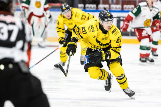 Västerås Henrik Hetta