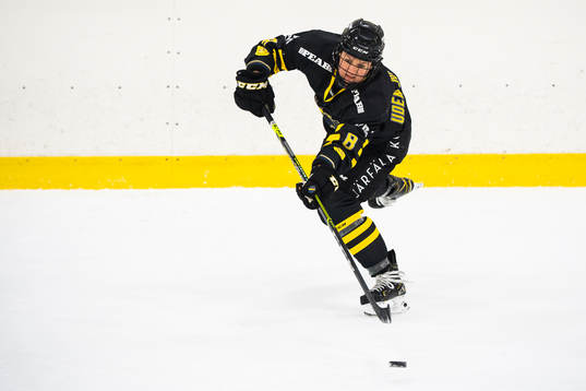 s Erica Uden Johansson