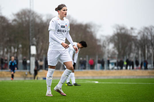 Helsingborgs Ervin Gigovic
