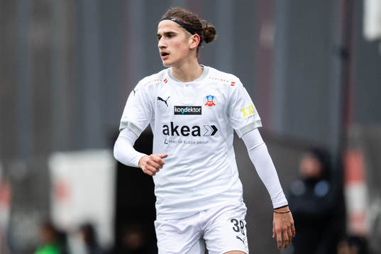 Helsingborgs Ervin Gigovic