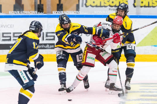 s Jessica Healey och Modos William Strömgren