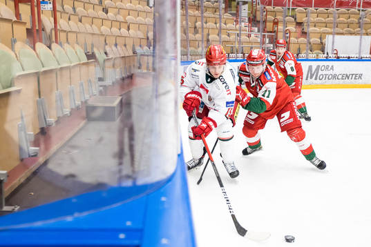 Modos Filip Sveningssonoch Moras Isak Pantzare