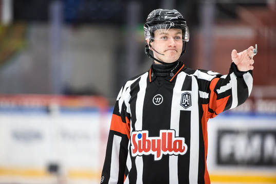 Domare Daniel Eriksson