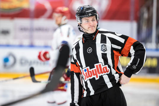 Domare Daniel Eriksson