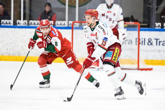 Modos Johan Harju