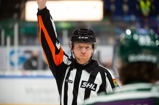 Domaren Mikael Holm