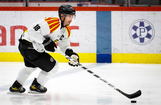 Brynäs Anton Rödin