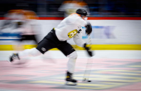 Brynäs Anton Rödin