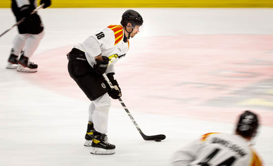 Brynäs Anton Rödin