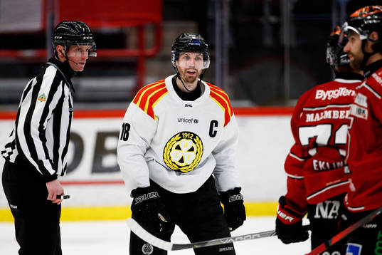 Brynäs Anton Rödin reagerar på domslut