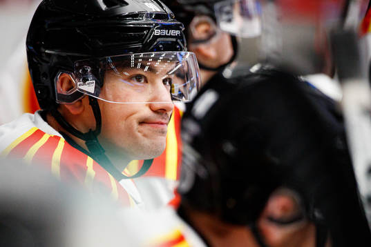 Brynäs Shane Harper