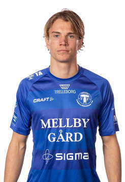 Trelleborgs Niklas Vesterlund