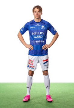 Trelleborgs Niklas Vesterlund