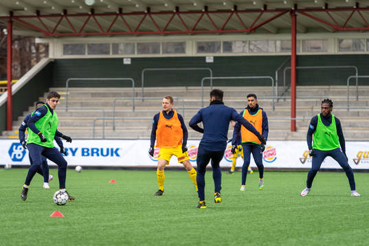 Halmstads spelare