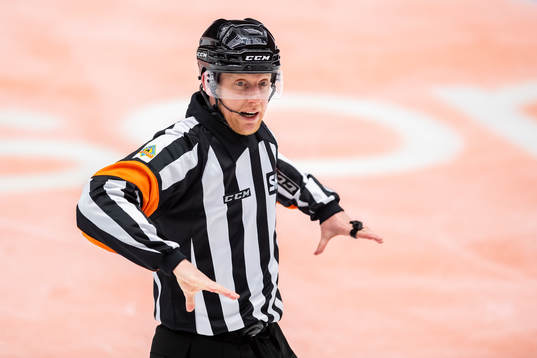 Domare Mikael Holm