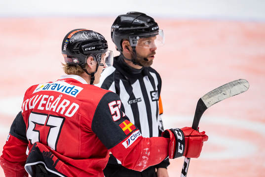 Malmö Redhawks Emil Sylvegård i diskussion med Domare