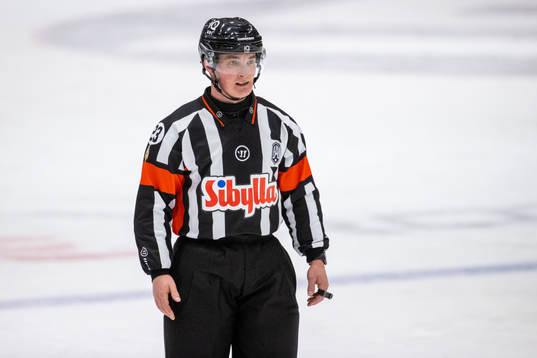 Domare Alexander Österberg