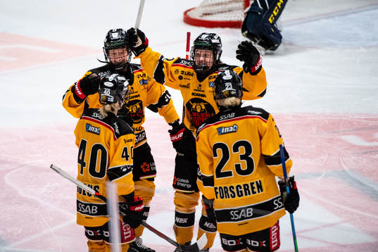 Luleås spelare jublar