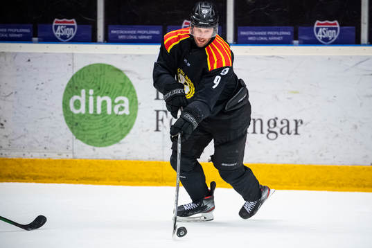 Brynäs Niclas Andersén