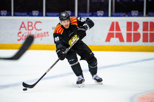 Brynäs Shane Harper