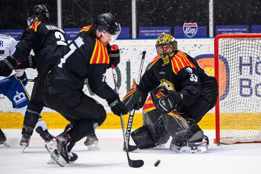 Brynäs målvakt Samuel Ersson
