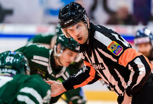 Domare Johan Magnusson