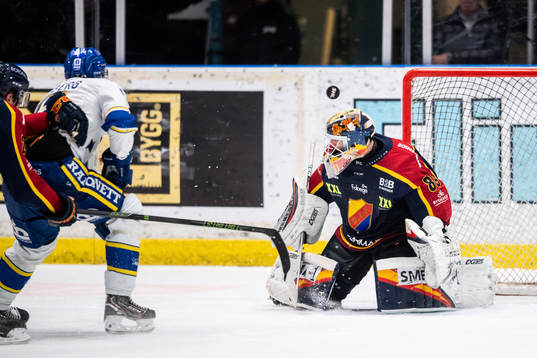 Djurgårdens målvakt Niklas Svedberg