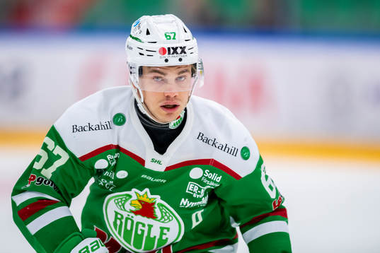Rögles Leon Bristedt