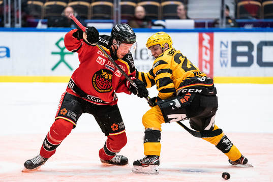 Luleås Juhani Tyrväinen och Skellefteås Andreas Wingerli