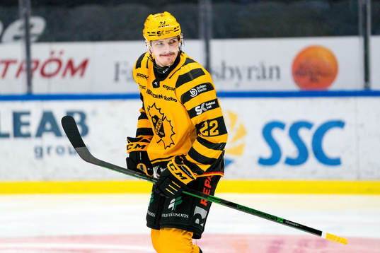 Skellefteås Jonathan Johnsson jublar