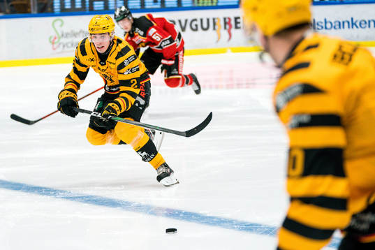 Skellefteås Adam Wilsby