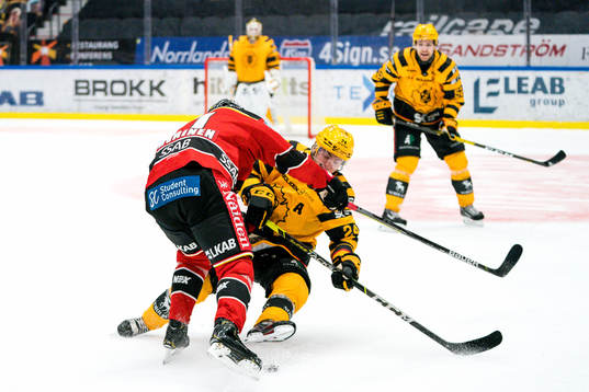 Skellefteås Andreas Wingerli och Luleås Juhani Tyrväinen