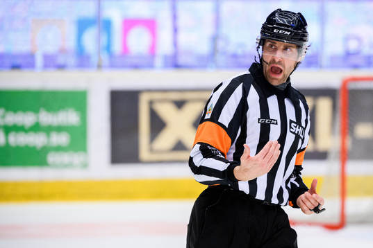 Domare Mikael Sjöqvist