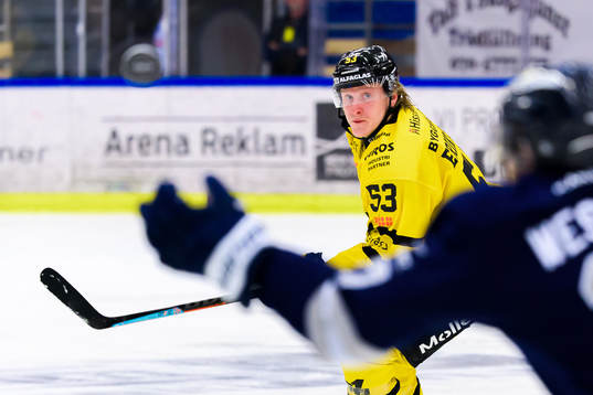 Västerås Anthon Eriksson