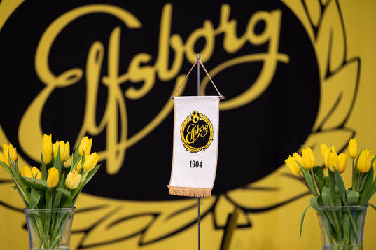 Detaljbild på Elfsborgs standar